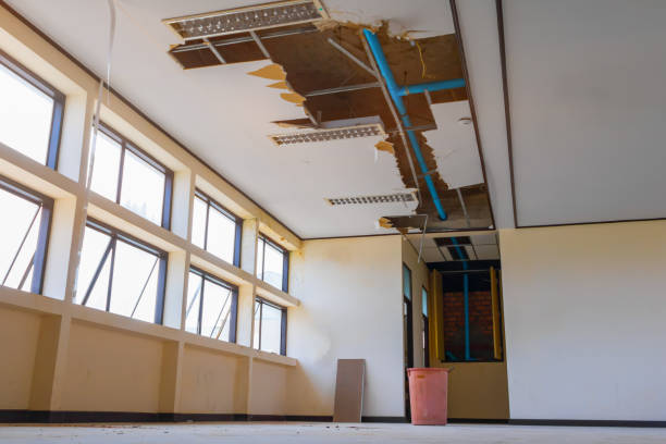 Best Professional water damage repair  in Adel, IA