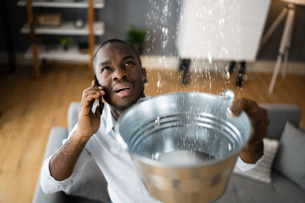 Best Water damage restoration near me  in Adel, IA