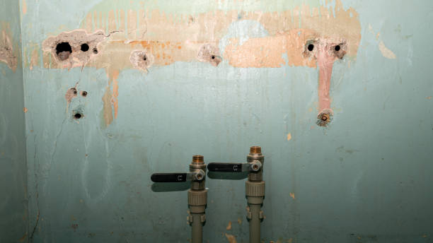 Best Professional water damage repair  in Adel, IA
