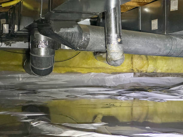 Best Water damage restoration experts  in Adel, IA